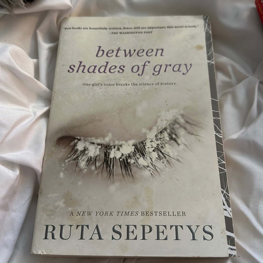 Between shades of gray book